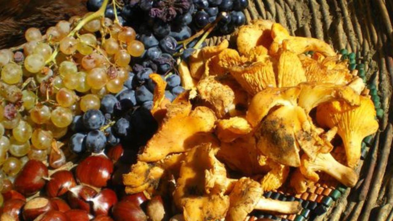 Tuttifrutti Apartamento *